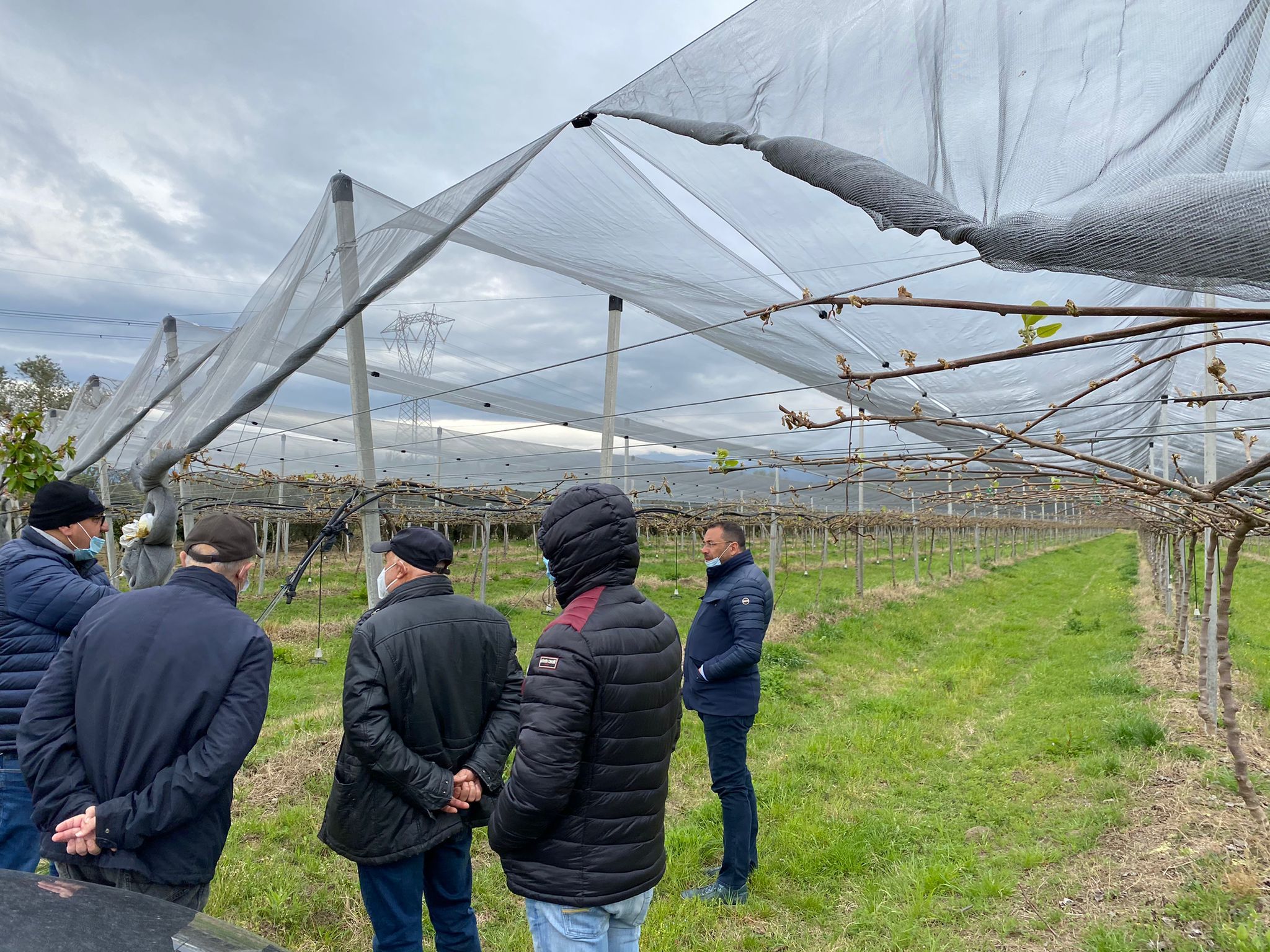 Gelate nel Reggino, sopralluogo di Marino sulle aree danneggiate