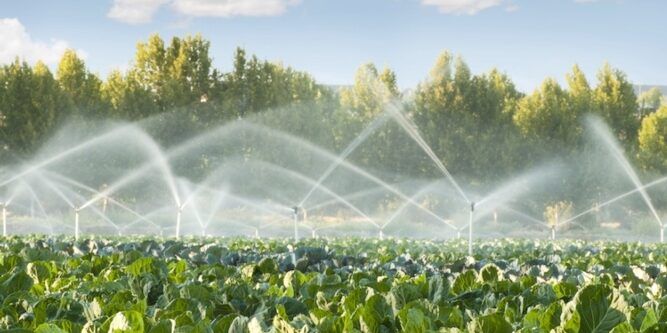Acqua, agricoltori di Crotone a secco presidiano la centrale di A2A