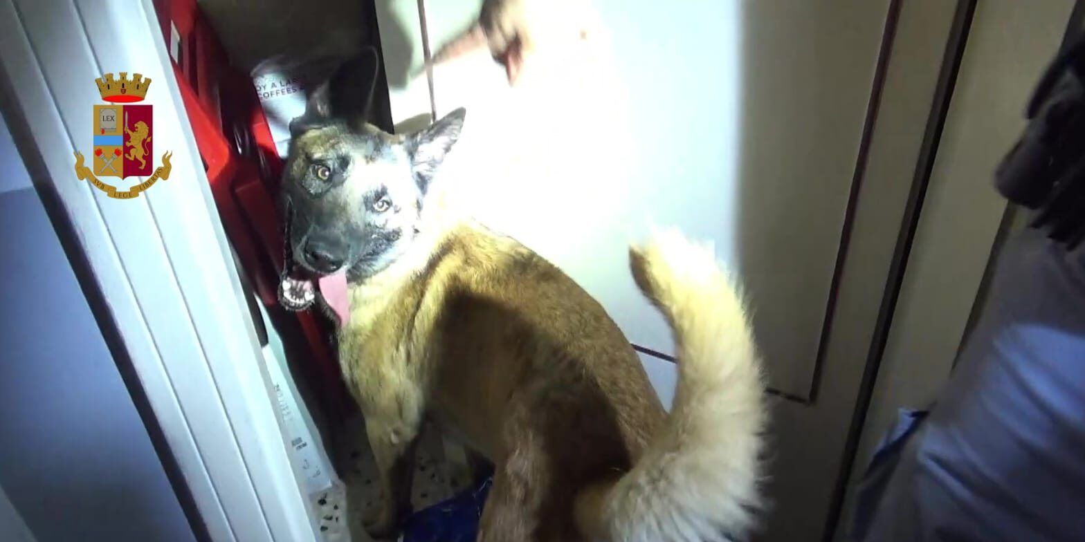 Nascondeva in casa 5 chili di droga, scarcerata una 76enne cosentina