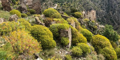 ripristino natura parchi borgo abbandonato