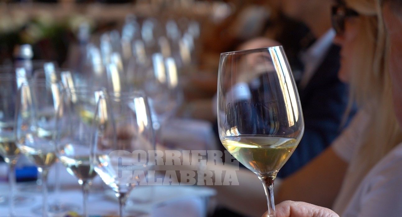 Pacchetto vino Ue, soddisfatta Confagricoltura