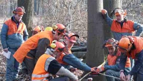 Calabria Verde, ora gli alibi sono finiti