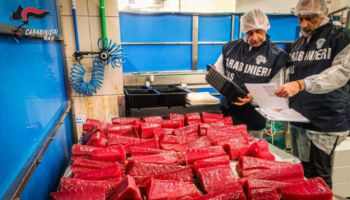 Catanzaro, i Nas sequestrano 15 chili di prodotti ittici privi di rintracciabilità