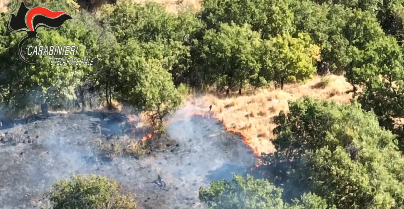 La “tolleranza zero” non si ferma: nuovi e serrati controlli per difendere l’ambiente