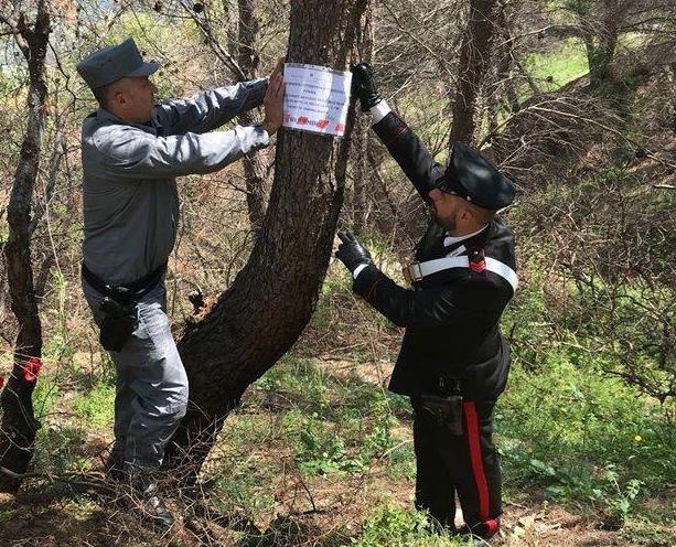 Lotta agli incendi, la Procura di Castrovillari sequestra i boschi