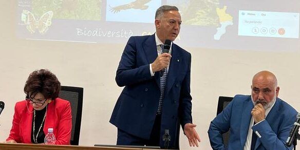 “Tra terra e acqua”, in Cittadella i progetti e le sfide per una Calabria più sostenibile