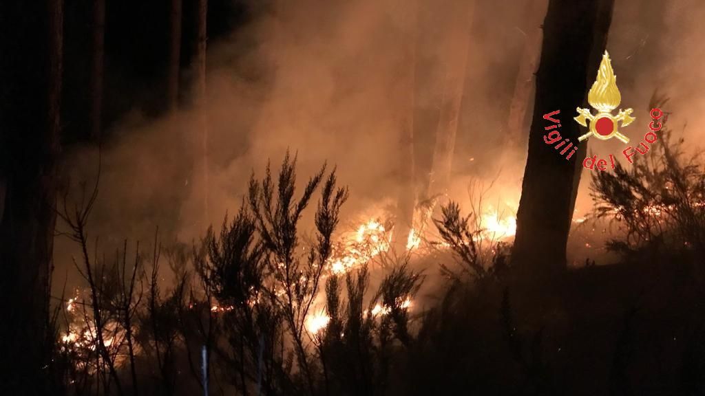 Notte di fuoco nel Catanzarese, tre vasti incendi a due passi dalle abitazioni – FOTO E VIDEO
