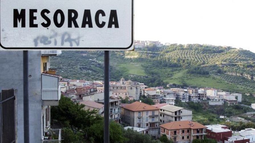 Le mani dei clan sulla filiera del legno, Legambiente: «Arrivano conferme dall’inchiesta della Dda»