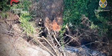 Mileto, arrestato un 49enne accusato di incendio boschivo – FOTO E VIDEO