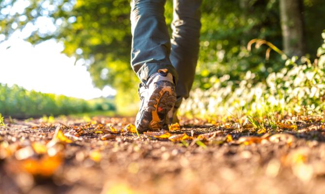 Il primo cammino dell’accoglienza: nasce l’asse della solidarietà tra Piemonte e Calabria