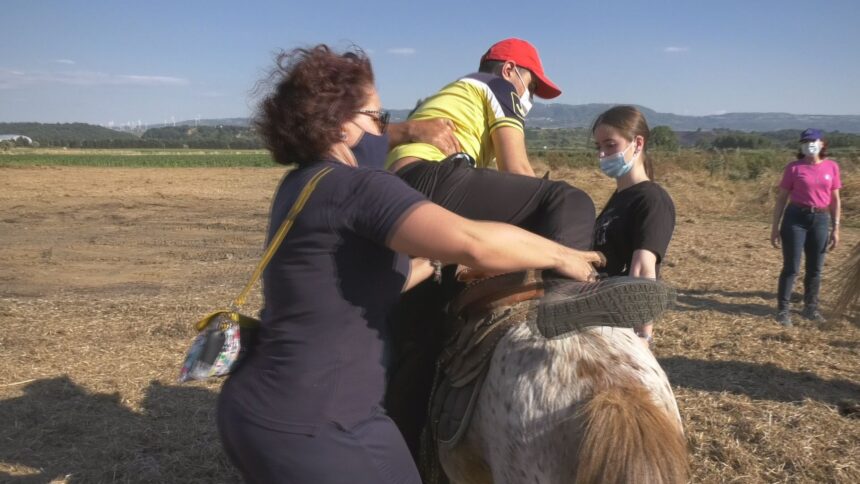 Un ragazzo partecipa alle attività del progetto "Coltiviamo il sociale" di Lamezia