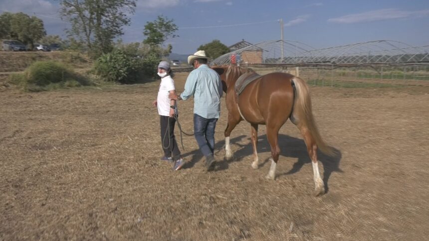 Un momento di terapia ricreativa organizzata alla Tenuta Statti di Lamezia