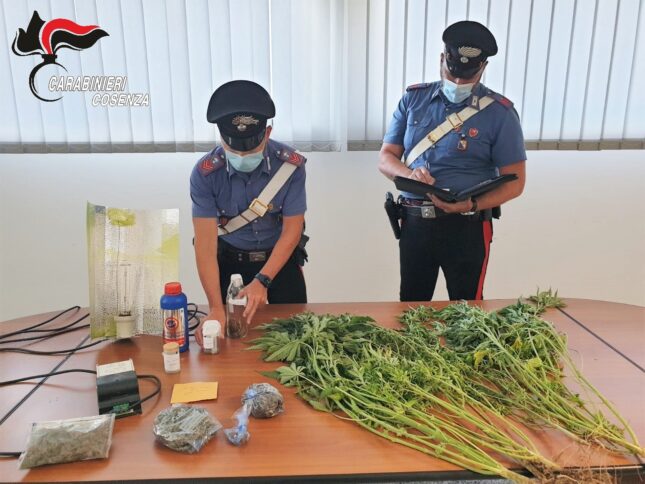 carabinieri-rende-droga