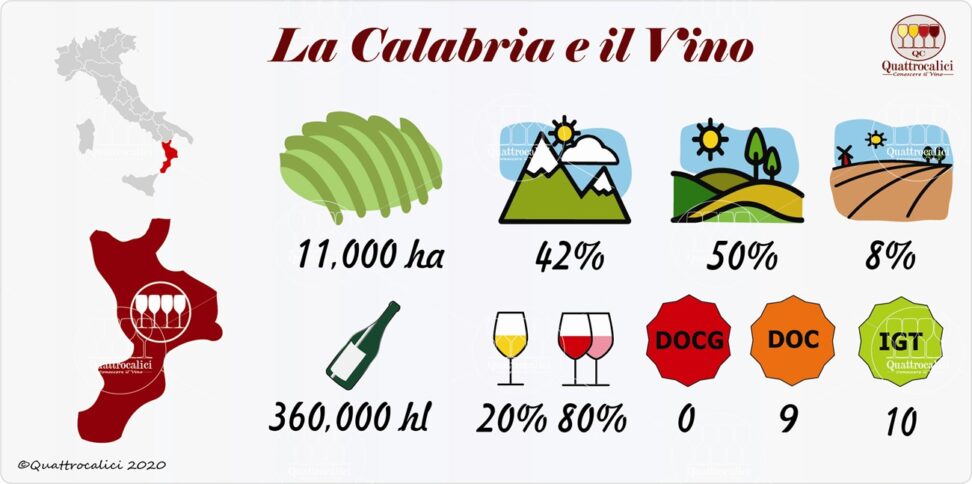 I numeri della produzione vitivinicola calabrese - Fonte: Quattocalici