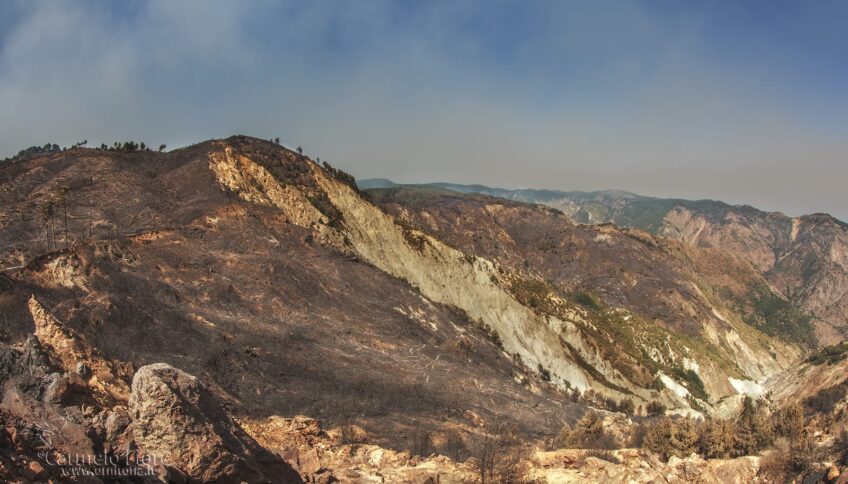incendio aspromonte