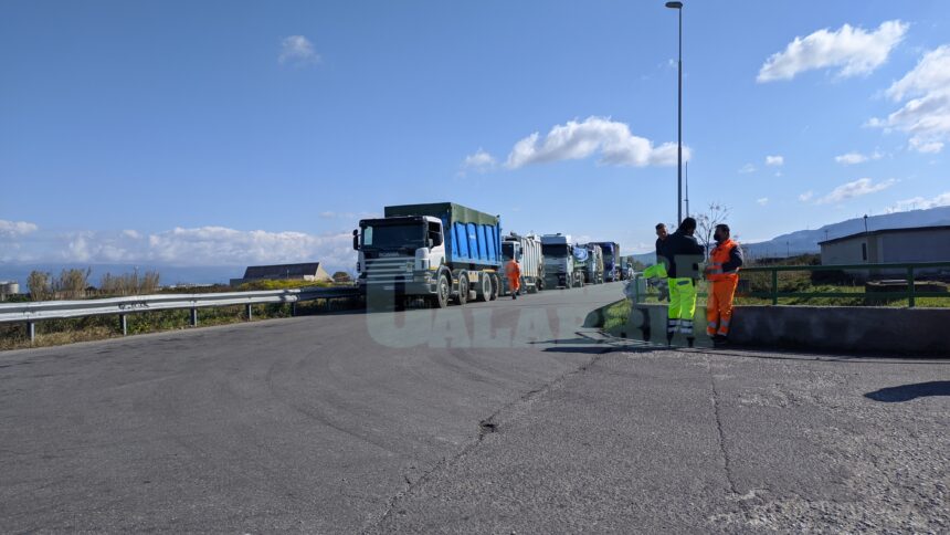 rifiuti lamezia logica