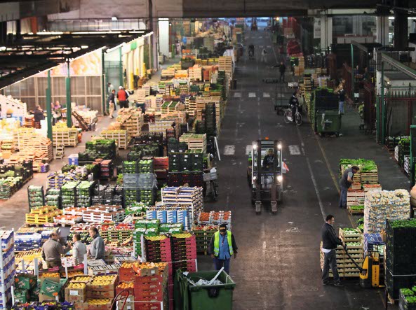 ortomercato milano piromalli