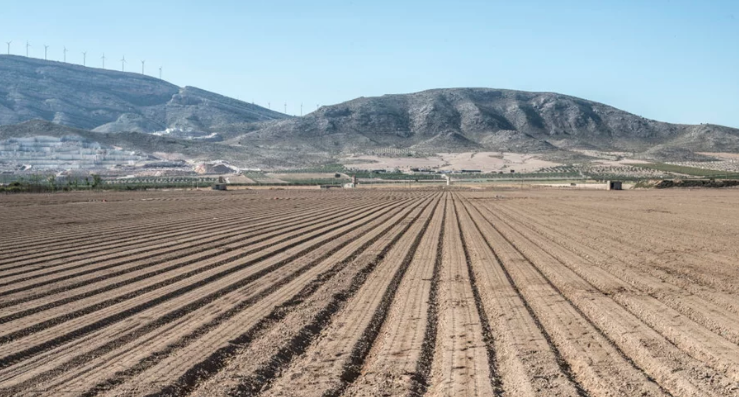 Oltre 100 metri quadri di terreni persi per usucapione dall'Asp di Reggio e dall'Ao di Cosenza