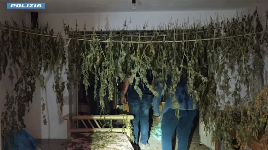 droga vibo joppolo polizia