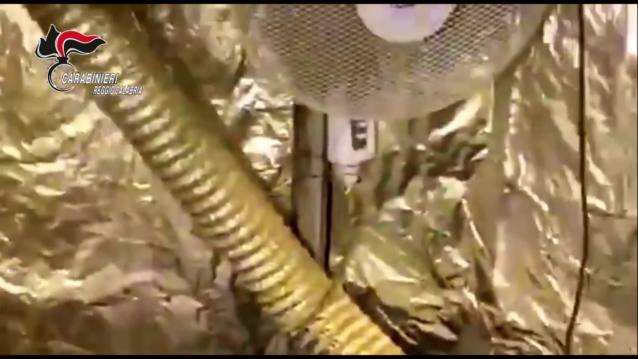 operazione perseverant piana gioia tauro taurianova