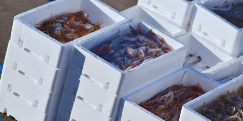 'ndrangheta pesce battaglia scrugli mantella