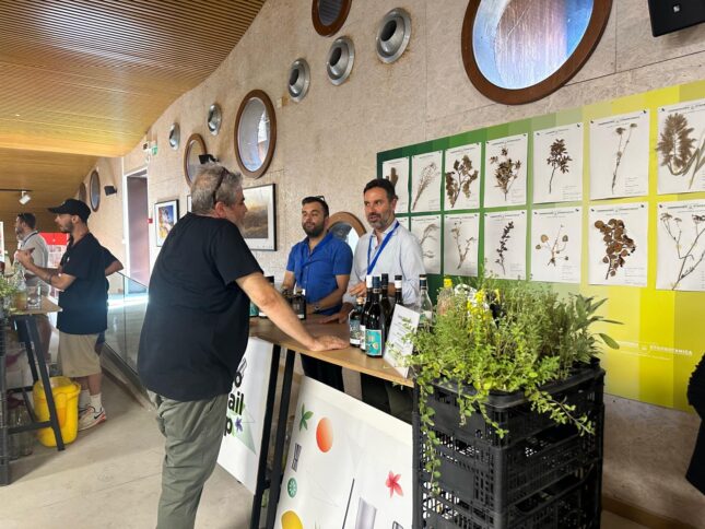 Pollino Cocktail Camp