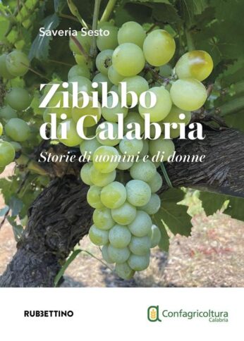 zibibbo di calabria_sesto