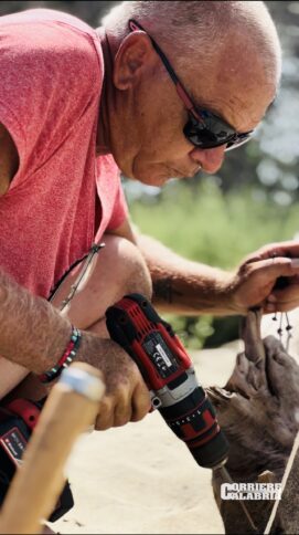 roberto_le_pera_red_rebel