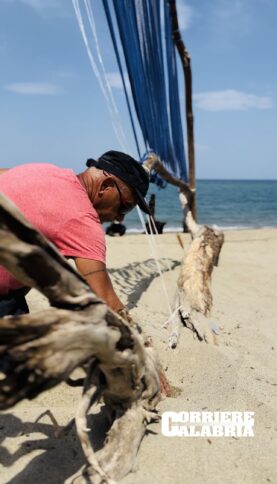 roberto_le_pera_red_rebel