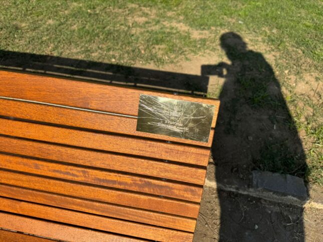 parco nonni danneggiato 4