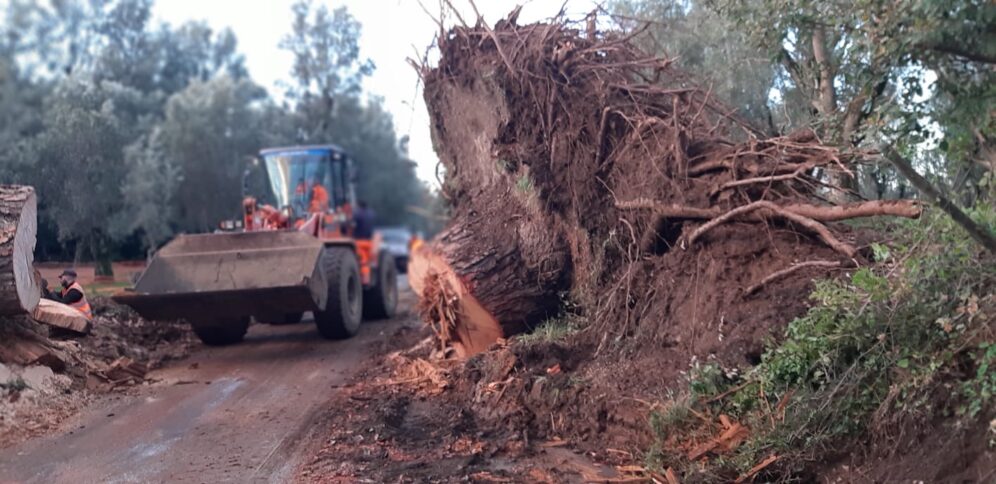interventi Castore (1) maltempo reggio calabria