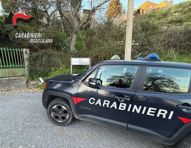 CARABINIERI reggio ortì