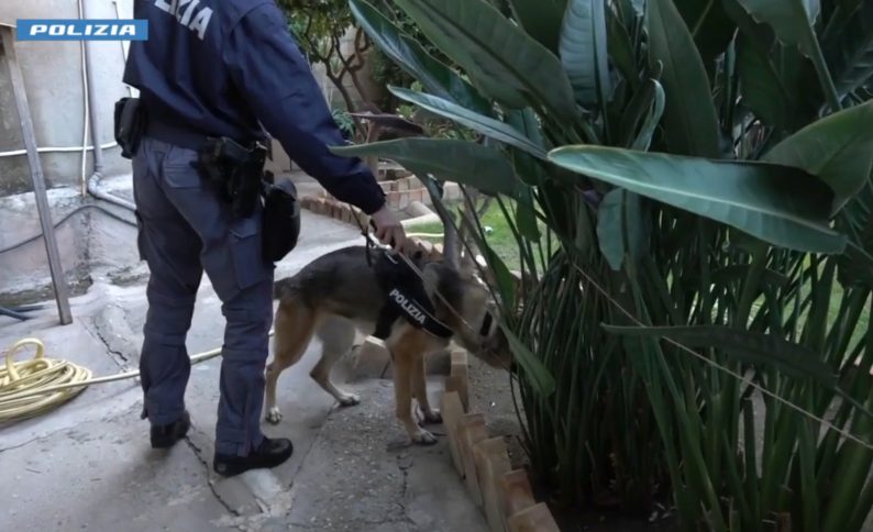 infanticidio pellaro reggio calabria cani polizia scientifica