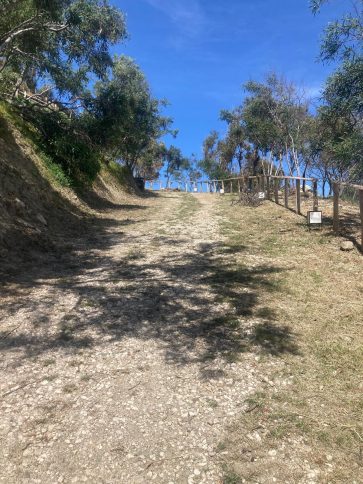 scogliera capo bruzzano