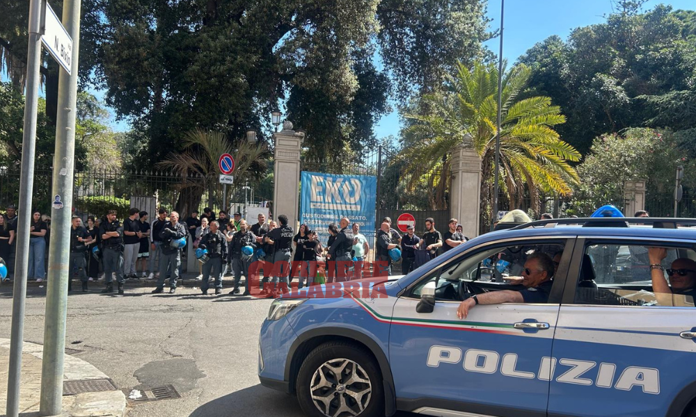 blitz reggio