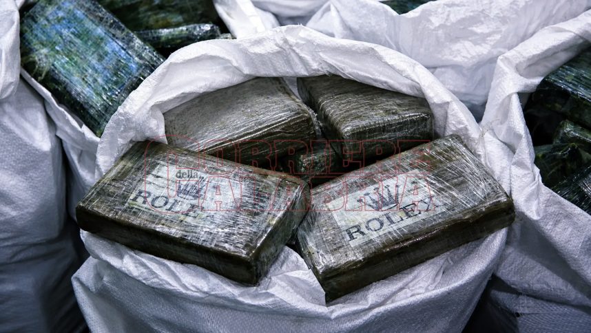 cocaina 'ndrangheta gioia tauro